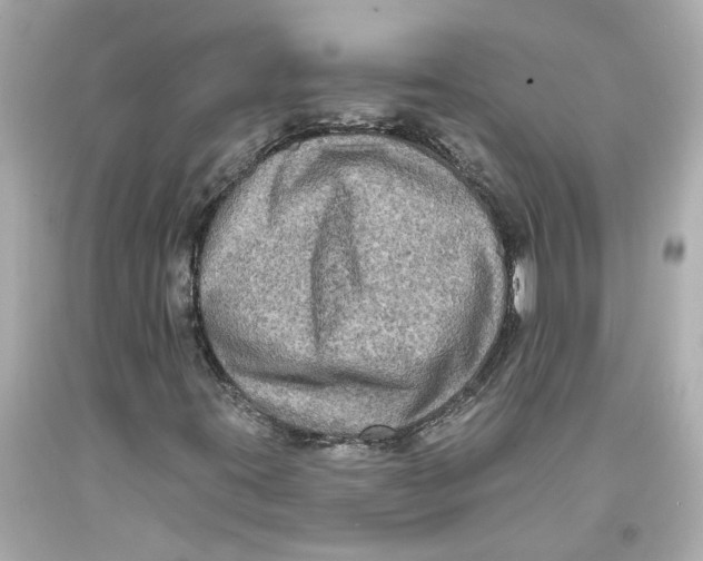 X0000093581395200711051108