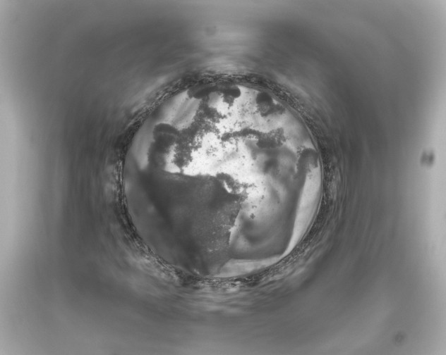 X0000093581397200711051108