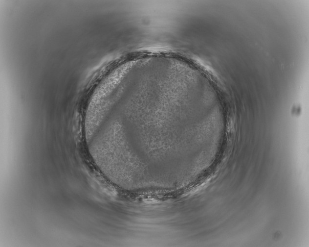 X0000093581398200711051108