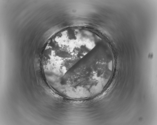 X0000093581401200711051108