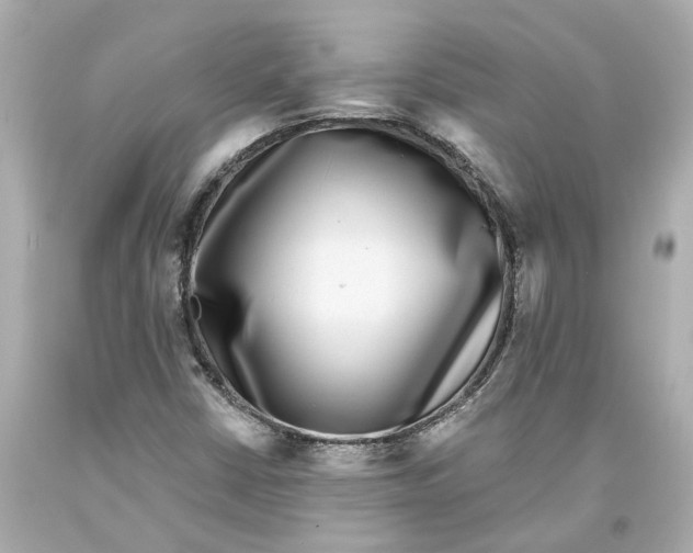 X0000093581402200711051108