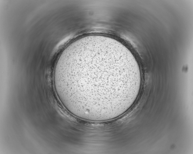 X0000093581403200711051108