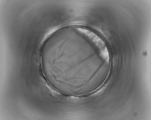 X0000093581405200711051108