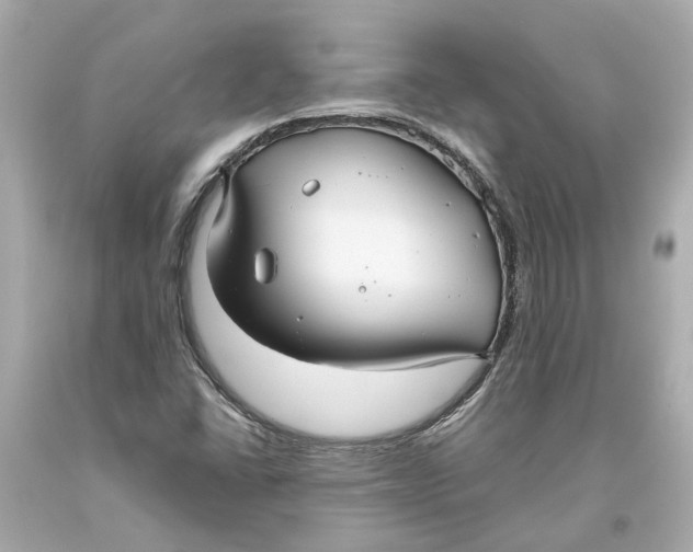 X0000093581406200711051108