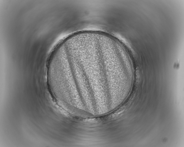 X0000093581408200711051108