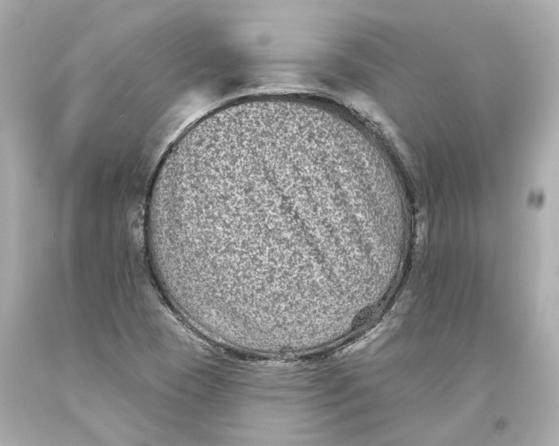 X0000093581409200711051108