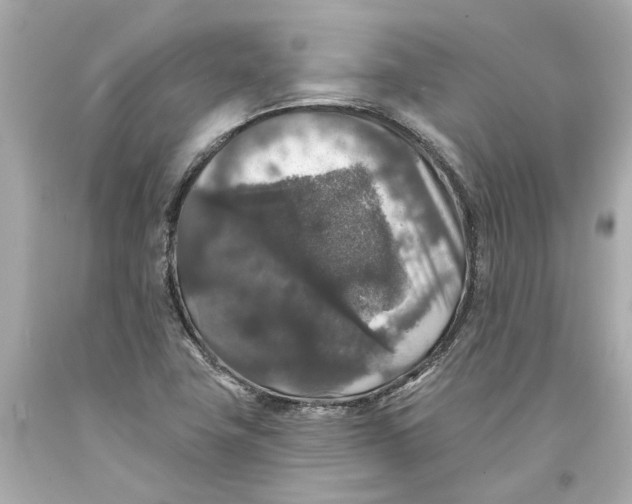 X0000093581411200711051108