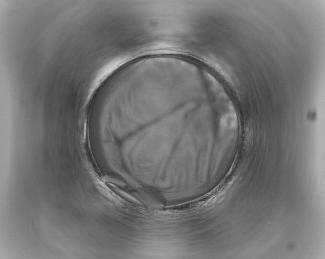 X0000093581413200711051108