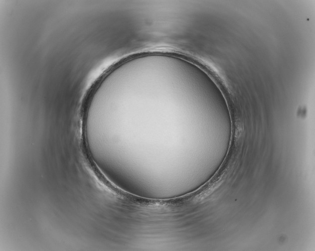 X0000093581414200711051108