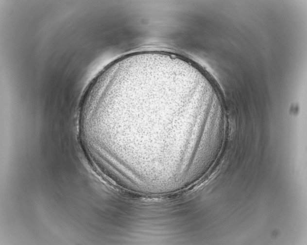 X0000093581415200711051109