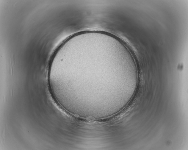 X0000093581416200711051109