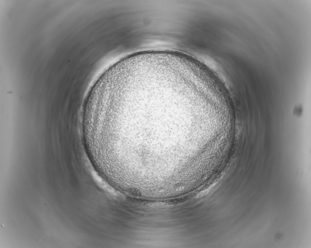 X0000093581421200711051109