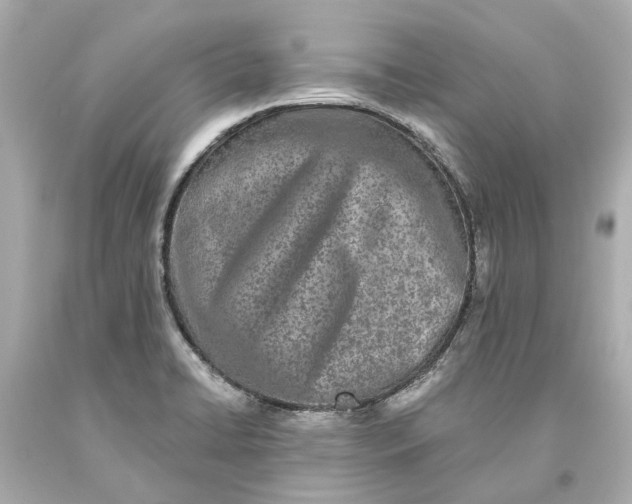 X0000093581422200711051109