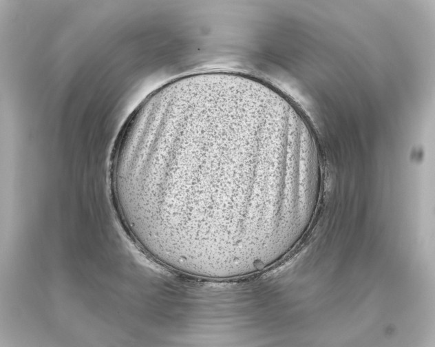 X0000093581423200711051109