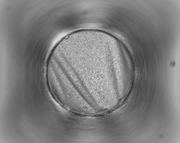 X0000093581424200711051109