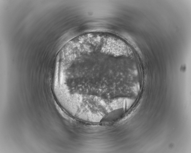 X0000093581425200711051109