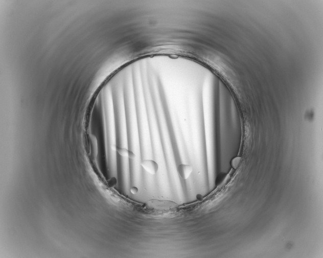 X0000093581426200711051109