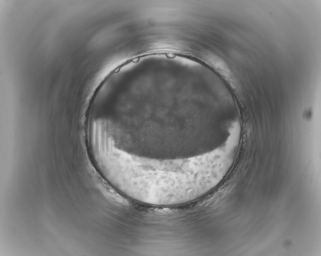 X0000093581427200711051109