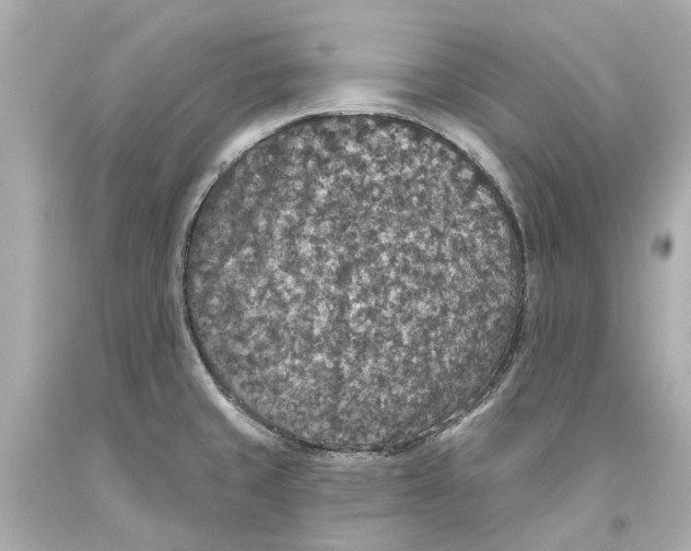 X0000093581429200711051109