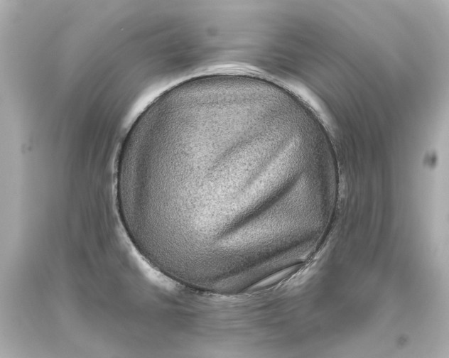 X0000093581430200711051109