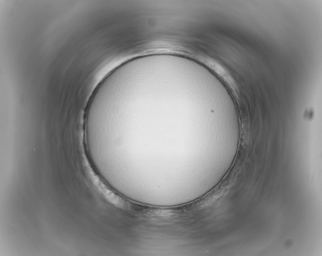 X0000093581431200711051109