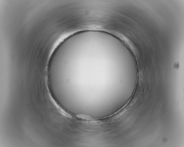 X0000093581432200711051109