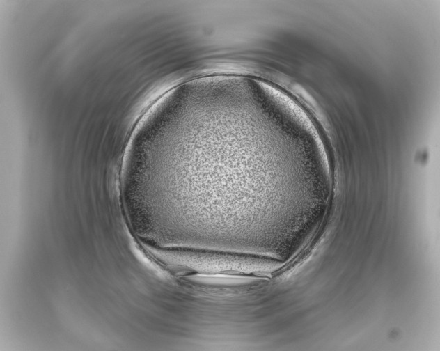 X0000093581433200711051109