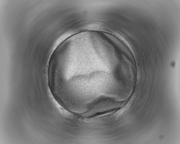 X0000093581434200711051109