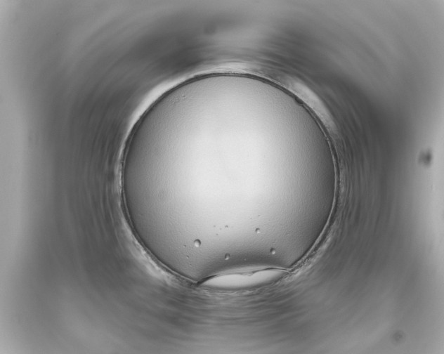 X0000093581436200711051109