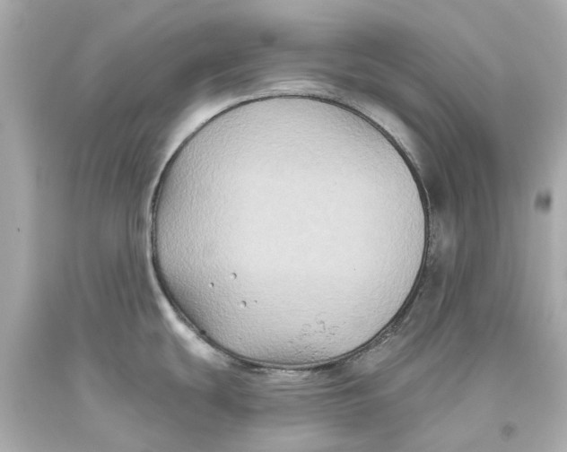 X0000093581439200711051109