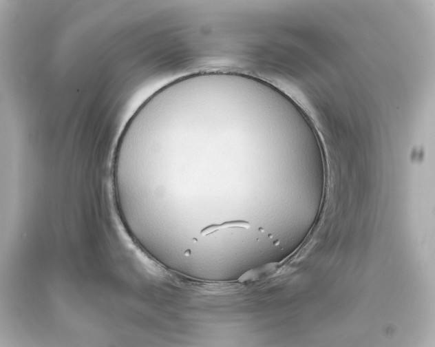 X0000093581440200711051109