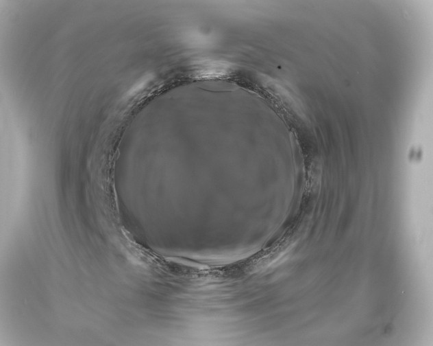 X0000093581441200711051108