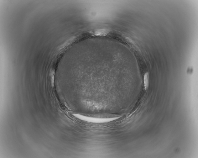 X0000093581443200711051108