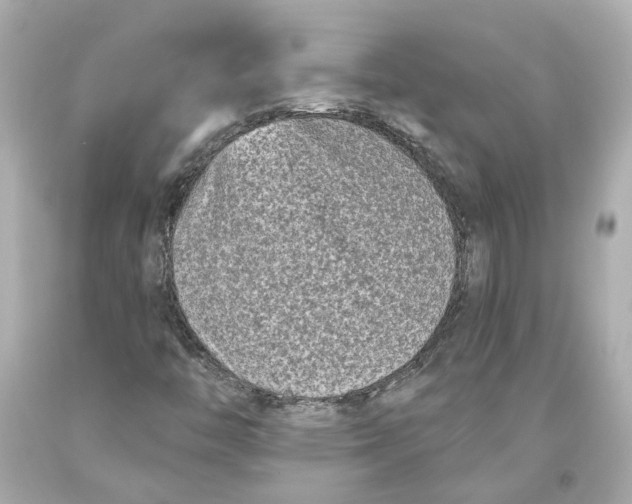 X0000093581446200711051108