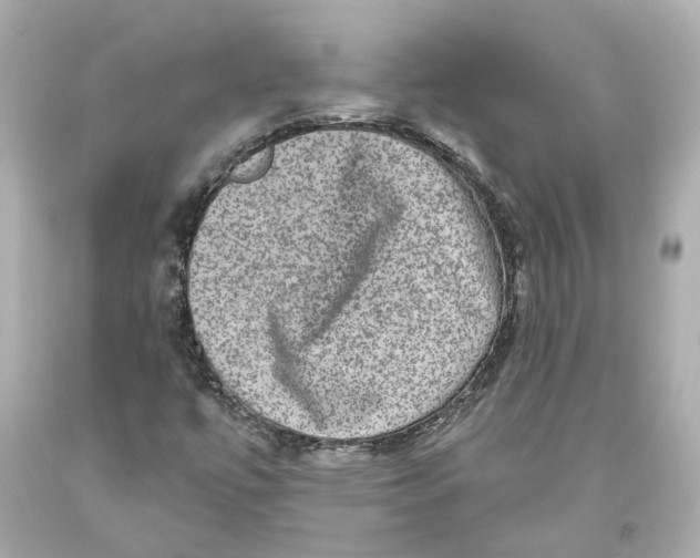 X0000093581447200711051108