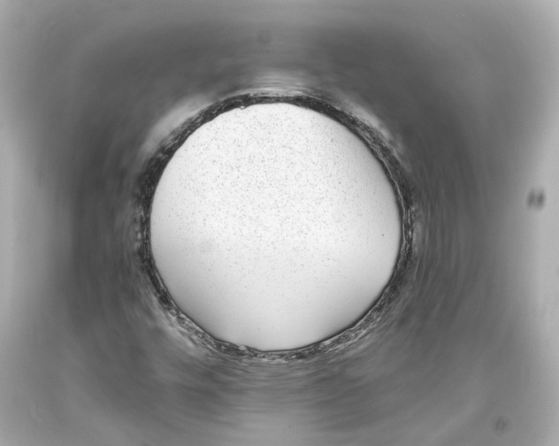 X0000093581448200711051108