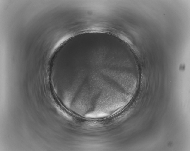 X0000093581450200711051108