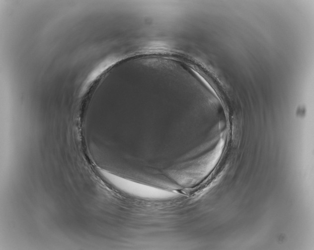 X0000093581453200711051108