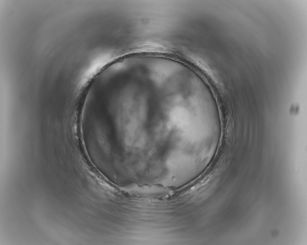 X0000093581455200711051108