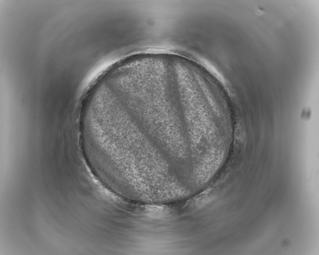 X0000093581456200711051108