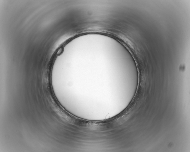 X0000093581458200711051108