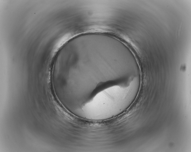 X0000093581459200711051108