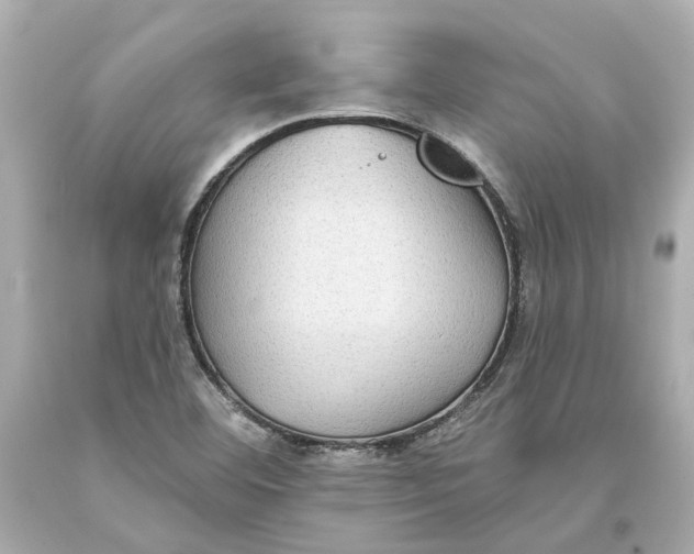 X0000093581460200711051108