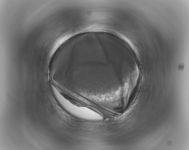 X0000093581461200711051108