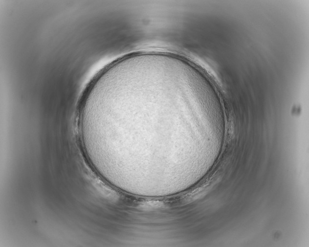 X0000093581462200711051108