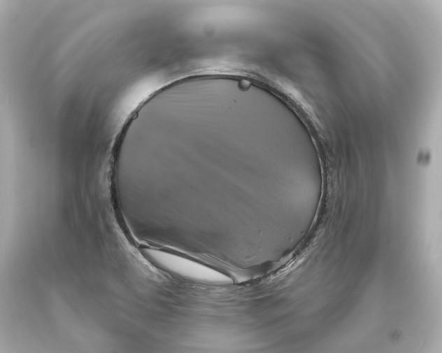 X0000093581463200711051108