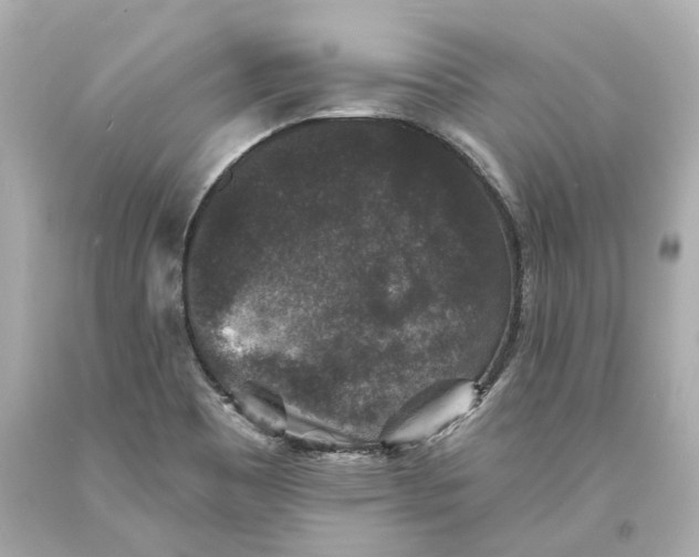 X0000093581465200711051108