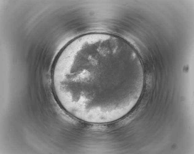 X0000093581466200711051108