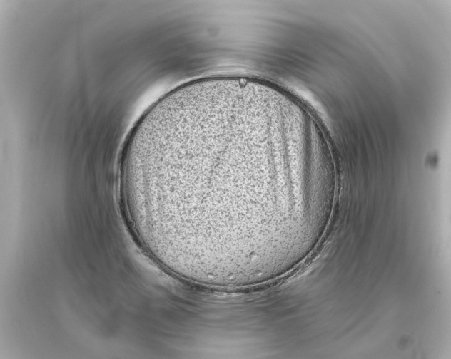 X0000093581467200711051108