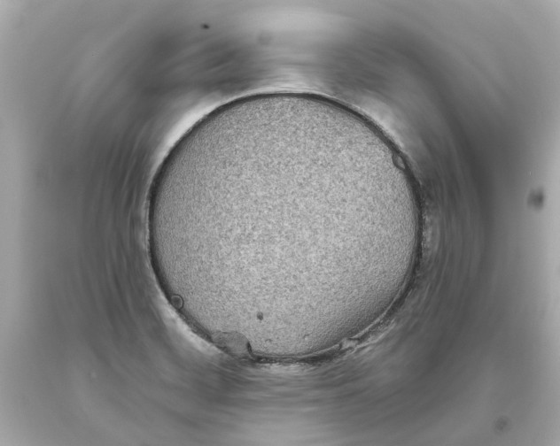 X0000093581468200711051108